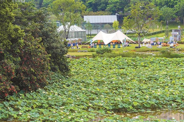 “公園+市集”出圈 解鎖地攤新玩法