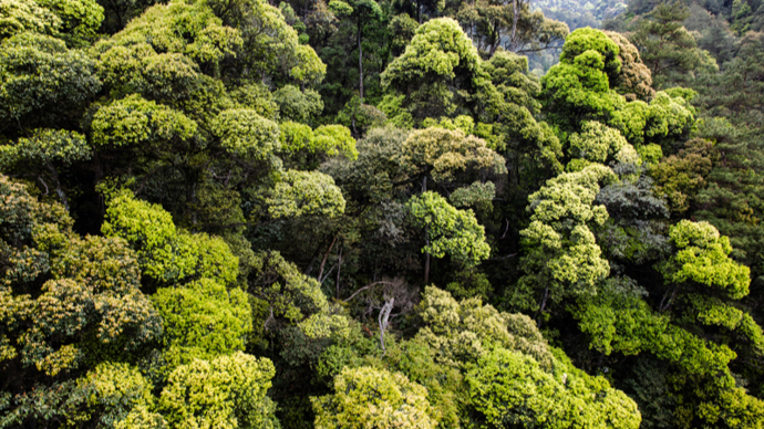 長三角首個國家公園將誕生