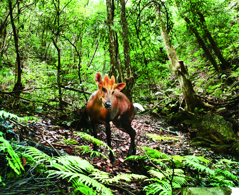 長三角首個國家公園將誕生