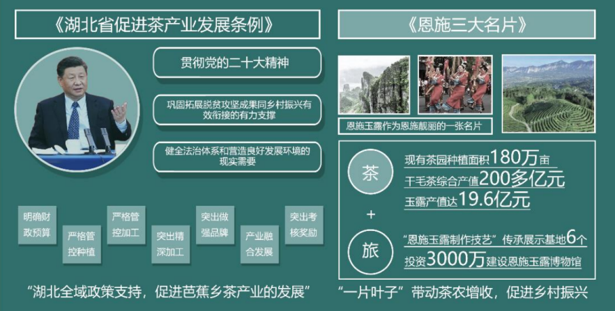 第二屆鄉村振興國際聯合畢業設計三等獎作品丨玉露緣起·傳承共生