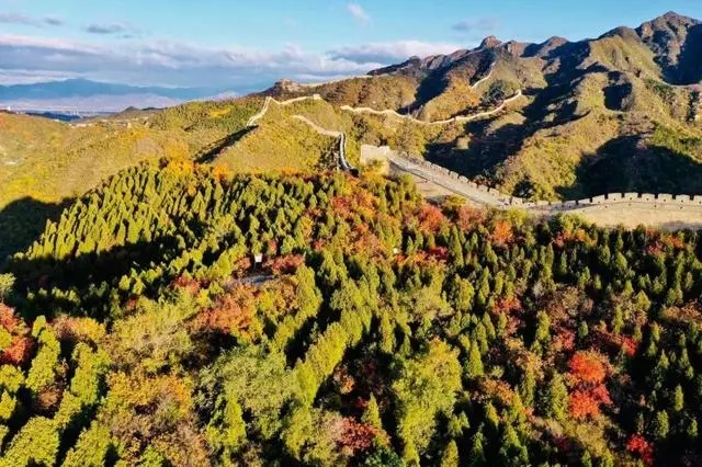 八達嶺國家森林公園紅葉節開幕