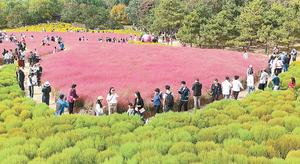 北京:市民游客樂享“微度假”和“城市漫游”