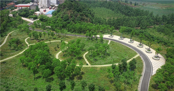 園冶杯參賽作品丨嘉魚縣濱江生態提升