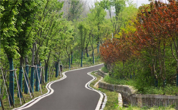 園冶杯參賽作品丨嘉魚縣濱江生態提升