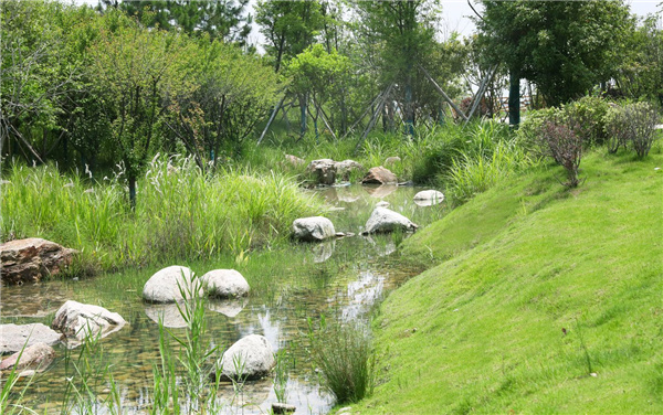 園冶杯參賽作品丨嘉魚縣濱江生態提升