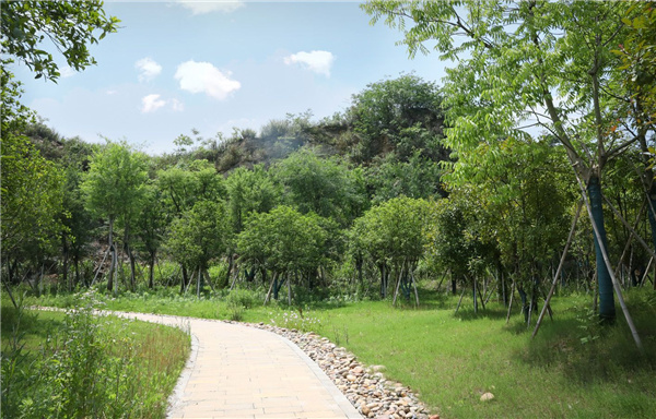 園冶杯參賽作品丨嘉魚縣濱江生態提升