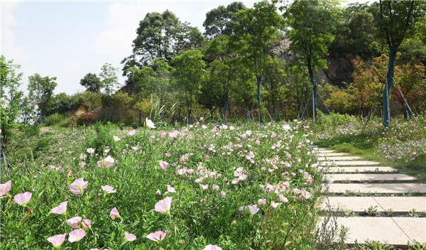 園冶杯參賽作品丨嘉魚縣濱江生態提升