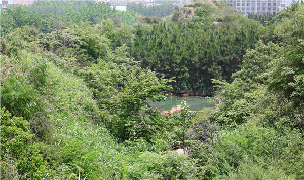 園冶杯參賽作品丨嘉魚縣濱江生態提升