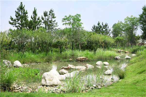 園冶杯參賽作品丨嘉魚縣濱江生態提升