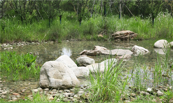 園冶杯參賽作品丨嘉魚縣濱江生態提升