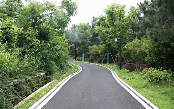 園冶杯參賽作品丨嘉魚縣濱江生態提升