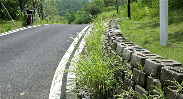 園冶杯參賽作品丨嘉魚縣濱江生態提升