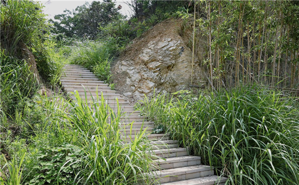 園冶杯參賽作品丨嘉魚縣濱江生態提升