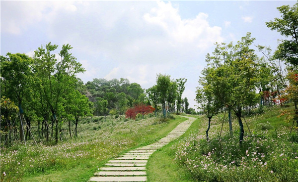 園冶杯參賽作品丨嘉魚縣濱江生態提升