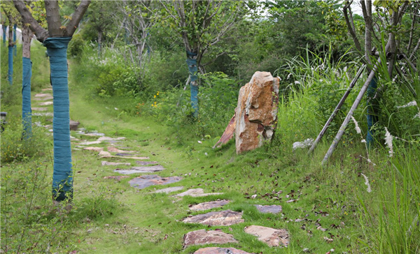 園冶杯參賽作品丨嘉魚縣濱江生態提升
