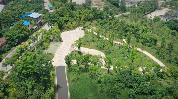 園冶杯參賽作品丨嘉魚縣濱江生態提升