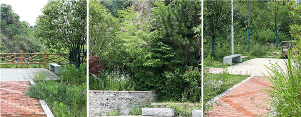 園冶杯參賽作品丨嘉魚縣濱江生態提升