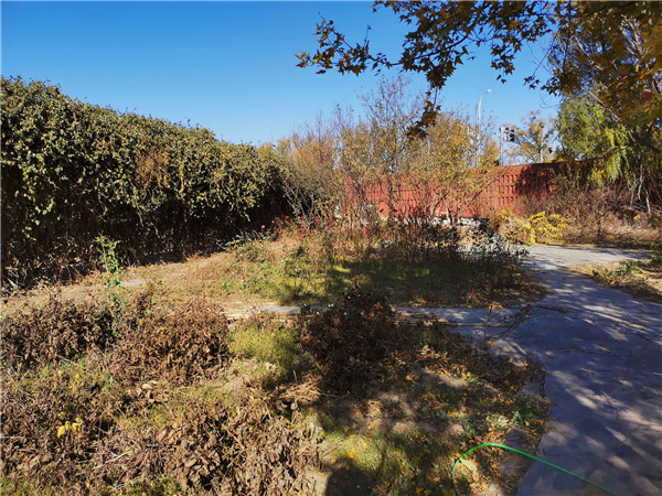 園冶杯參賽作品丨人大附中北大附小聯(lián)合實(shí)驗(yàn)學(xué)校入口景觀提升