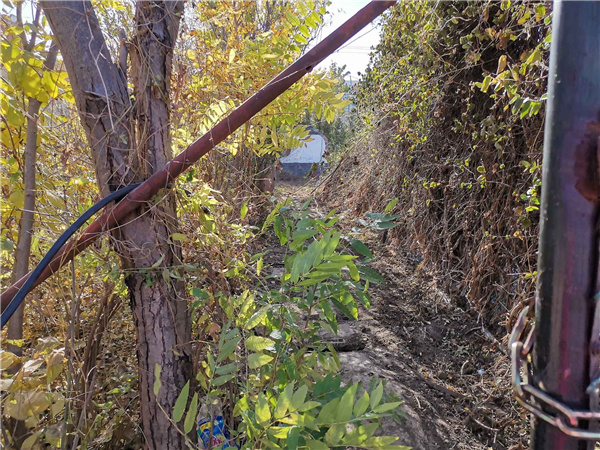 園冶杯參賽作品丨人大附中北大附小聯(lián)合實(shí)驗(yàn)學(xué)校入口景觀提升