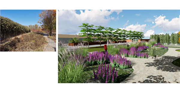 園冶杯參賽作品丨人大附中北大附小聯(lián)合實(shí)驗(yàn)學(xué)校入口景觀提升