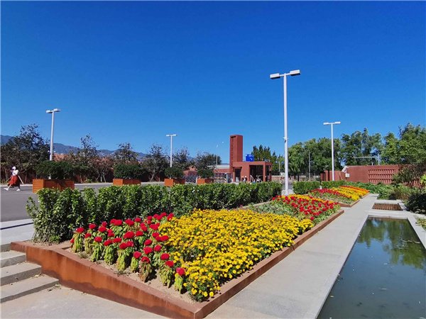 園冶杯參賽作品丨人大附中北大附小聯(lián)合實(shí)驗(yàn)學(xué)校入口景觀提升