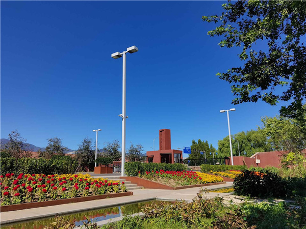 園冶杯參賽作品丨人大附中北大附小聯(lián)合實(shí)驗(yàn)學(xué)校入口景觀提升