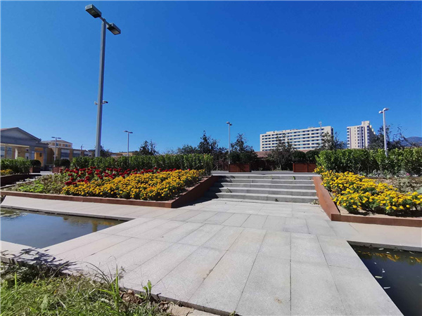 園冶杯參賽作品丨人大附中北大附小聯(lián)合實(shí)驗(yàn)學(xué)校入口景觀提升