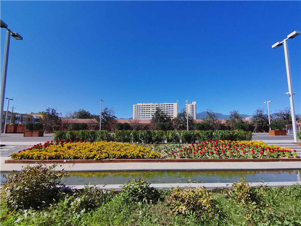 園冶杯參賽作品丨人大附中北大附小聯(lián)合實(shí)驗(yàn)學(xué)校入口景觀提升