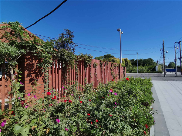 園冶杯參賽作品丨人大附中北大附小聯(lián)合實(shí)驗(yàn)學(xué)校入口景觀提升