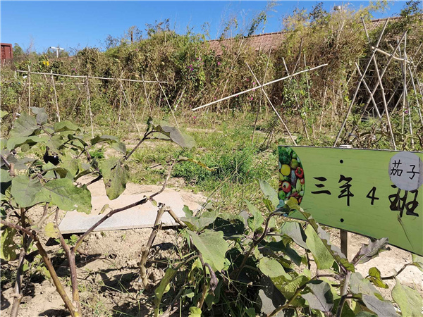 園冶杯參賽作品丨人大附中北大附小聯(lián)合實(shí)驗(yàn)學(xué)校入口景觀提升