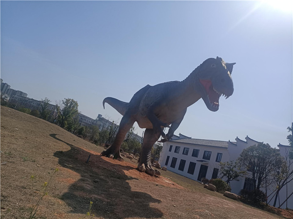 園冶杯參賽作品丨金西小城鎮綜合整治項目