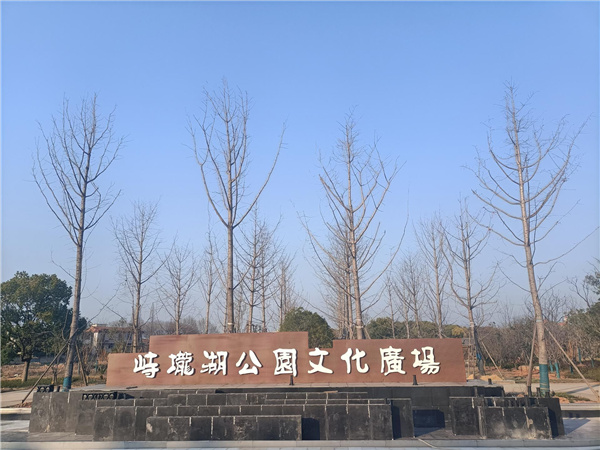 園冶杯參賽作品丨金西小城鎮綜合整治項目