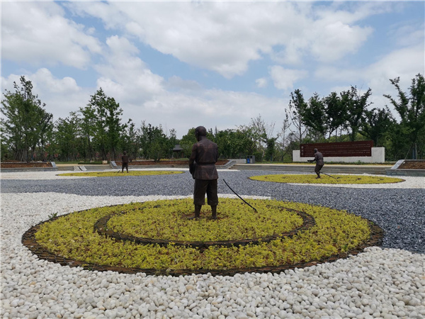 園冶杯參賽作品丨金西小城鎮綜合整治項目