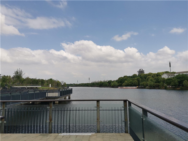 園冶杯參賽作品丨金西小城鎮綜合整治項目