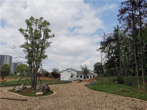 園冶杯參賽作品丨金西小城鎮綜合整治項目