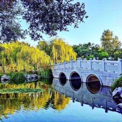 中國古典園林如何“流芳”海外