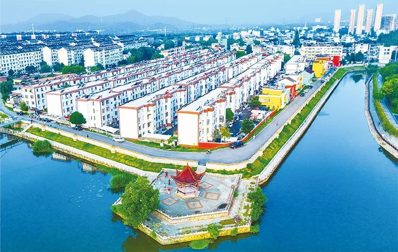 倪虹:開創城市高質量發展新局面