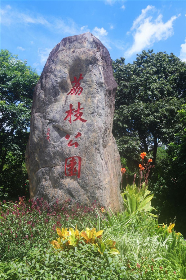 園冶杯參賽作品丨深圳荔枝公園東門花境