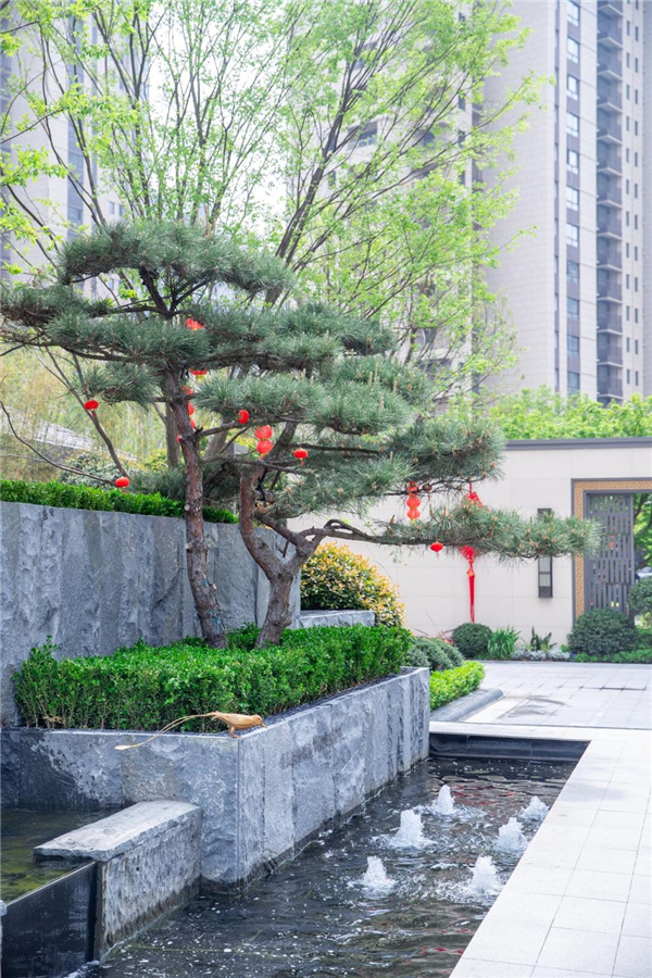 園冶杯參賽作品丨如皋星雨華府