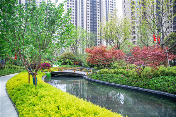 園冶杯參賽作品丨如皋星雨華府