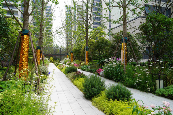園冶杯參賽作品丨上海南山虹橋領峯項目花境工程