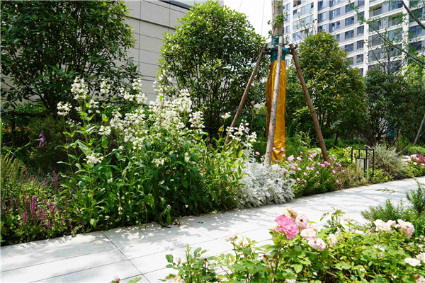 園冶杯參賽作品丨上海南山虹橋領峯項目花境工程