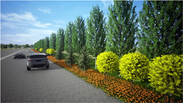 園冶杯參賽作品丨清河縣308國道沿線提升