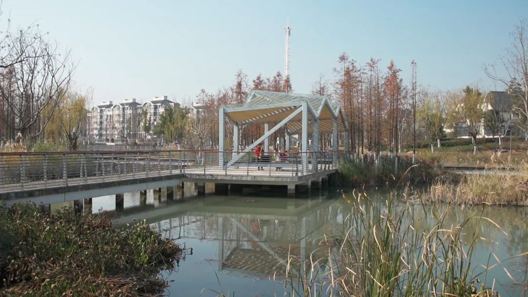 上海“千園工程”讓公園與城市無界共生