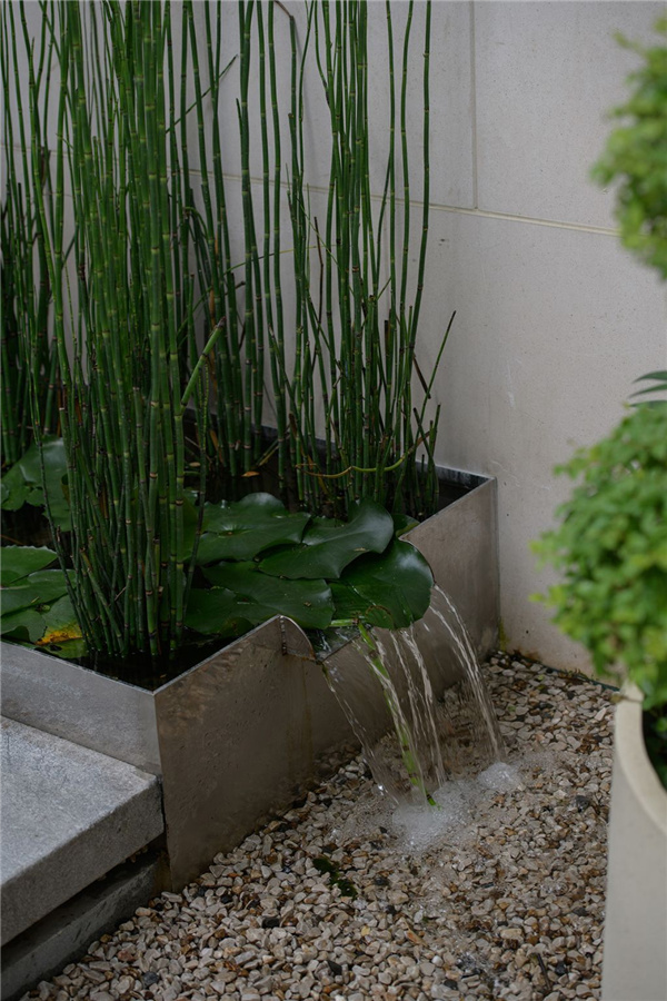 園冶杯參賽作品丨桐鄉香格里拉某庭院