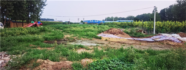 園冶杯參賽作品丨老冢鎮“記憶中的鄉村”