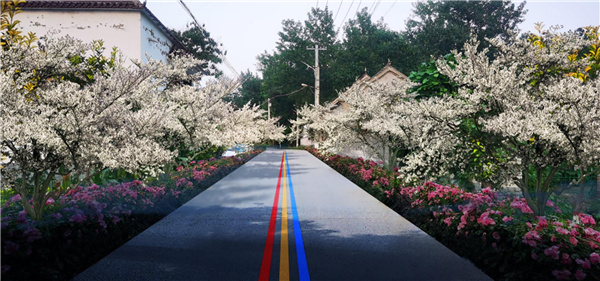 園冶杯參賽作品丨老冢鎮“記憶中的鄉村”