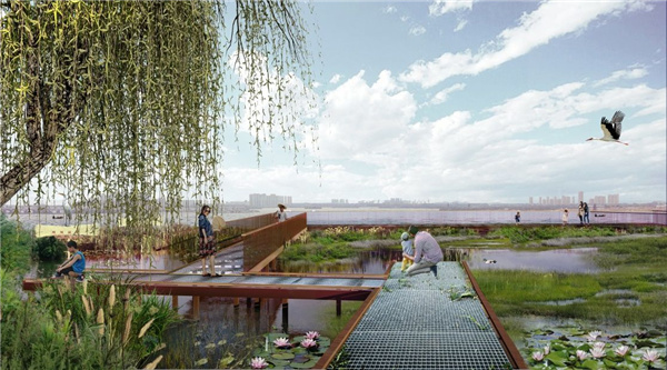 園冶杯參賽作品丨武漢中法半島小鎮(zhèn)生態(tài)修復(fù)規(guī)劃設(shè)計(jì)