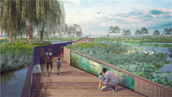 園冶杯參賽作品丨武漢中法半島小鎮(zhèn)生態(tài)修復(fù)規(guī)劃設(shè)計(jì)