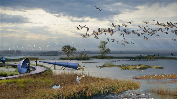 園冶杯參賽作品丨武漢中法半島小鎮(zhèn)生態(tài)修復(fù)規(guī)劃設(shè)計(jì)